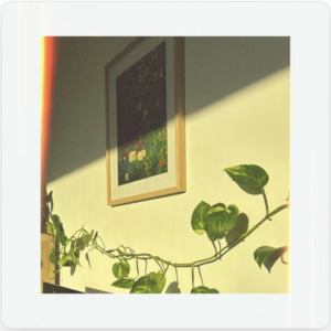 Title: Clarão Artist: Tó Anjo Job: Stereo Released: March 21, 2025 Artist: Tó Anjo Job: Stereo Released: March 21, 2025